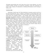 Tapatumo paieškos  13 puslapis