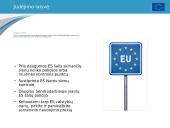 Europos Sąjungos skaidrės 13 puslapis