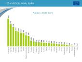 Europos Sąjungos skaidrės 8 puslapis