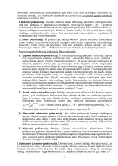 Medžiagų savybės 7 puslapis