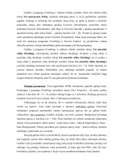 Microsoft FrontPage 3 puslapis