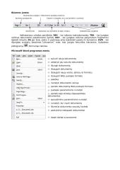 Microsoft Word programos  2 puslapis