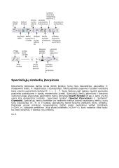 Microsoft Word programos  12 puslapis