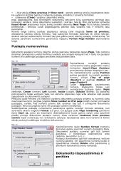 Microsoft Word programos  14 puslapis