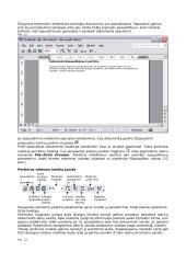 Microsoft Word programos  15 puslapis