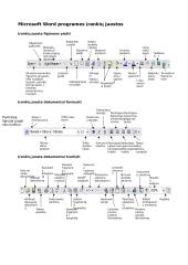 Microsoft Word programos  6 puslapis