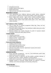 Tarpukario laikotarpis (teorija) 5 puslapis