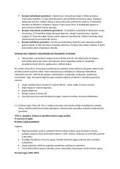 Krikščionybės plitimas Europoje Viduramžiais 2 puslapis