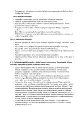 Krikščionybės plitimas Europoje Viduramžiais 11 puslapis