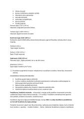 Krikščionybės plitimas Europoje Viduramžiais 3 puslapis