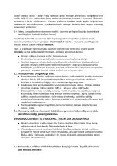 Krikščionybės plitimas Europoje Viduramžiais 4 puslapis