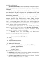 Mokesčių teisės sistema 4 puslapis