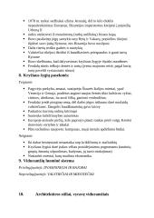 Viduramžiai (teorija) 2 puslapis