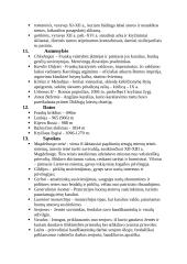 Viduramžiai (teorija) 3 puslapis