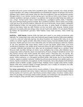 Dėdės ir dėdienės - kūrinio aprašymas 2 puslapis