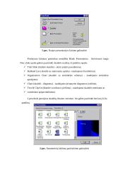 MS PowerPoint. Pranešimo iliustracijų ruošimo pagrindai ir priemonės 3 puslapis