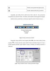 MS PowerPoint. Pranešimo iliustracijų ruošimo pagrindai ir priemonės 5 puslapis