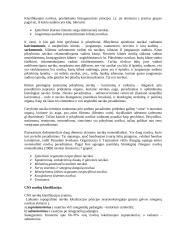 Navikų klasifikacija 2 puslapis