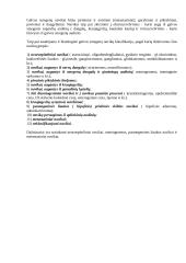 Navikų klasifikacija 3 puslapis