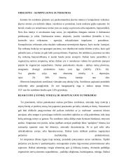 Nerimas ir baimė 6 puslapis