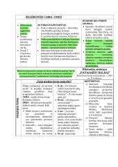 Romantizmo autoriai kartojimui 11 puslapis