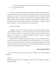 Neuropsichologija 19 puslapis