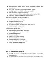 Didžioji Prancūzijos revoliucija (teorija) 4 puslapis