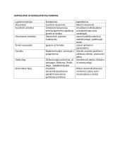 Europos ir LDK visuomenės kaita XVI – XVII a. vid. (teorija) 2 puslapis