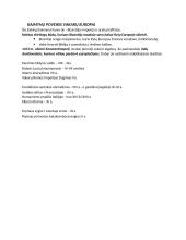 Feodalizmo raida 2 puslapis