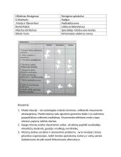 Pramonės perversmo konspektas 4 puslapis