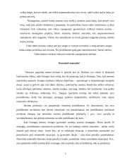 Neurotinė asmenybė 2 puslapis