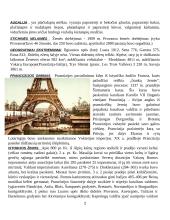 Apie Prancūziją 2 puslapis