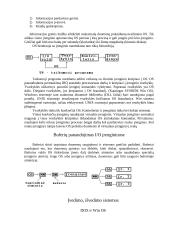 Operacinės sistemos (OS) ir jų klasifikacija 7 puslapis