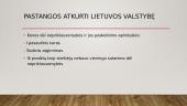 Lietuva I pasaulinio karo metais 8 puslapis