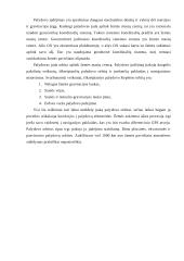 Palydovinė navigacija 3 puslapis