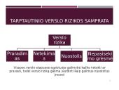 Tarptautinio verslo rizikų samprata 2 puslapis