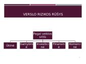 Tarptautinio verslo rizikų samprata 11 puslapis