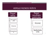Tarptautinio verslo rizikų samprata 12 puslapis