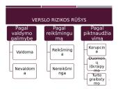 Tarptautinio verslo rizikų samprata 13 puslapis