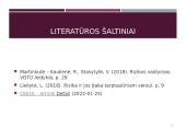 Tarptautinio verslo rizikų samprata 15 puslapis