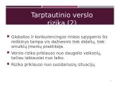 Tarptautinio verslo rizikų samprata 6 puslapis