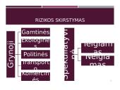 Tarptautinio verslo rizikų samprata 8 puslapis