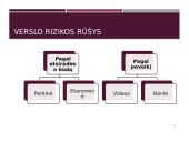 Tarptautinio verslo rizikų samprata 10 puslapis