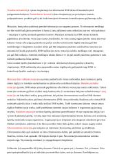 Paveldimumas 2 puslapis