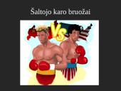 Šaltojo karo pradžia ir bruožai 8 puslapis