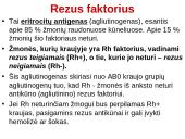 Kraujo grupių paveldėjimas (skaidrės) 4 puslapis