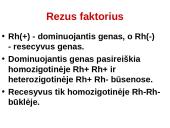 Kraujo grupių paveldėjimas (skaidrės) 5 puslapis