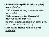 Nukleorūgštys DNR ir RNR 15 puslapis