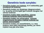 Nukleorūgštys DNR ir RNR 17 puslapis