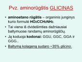 Nukleorūgštys DNR ir RNR 18 puslapis
